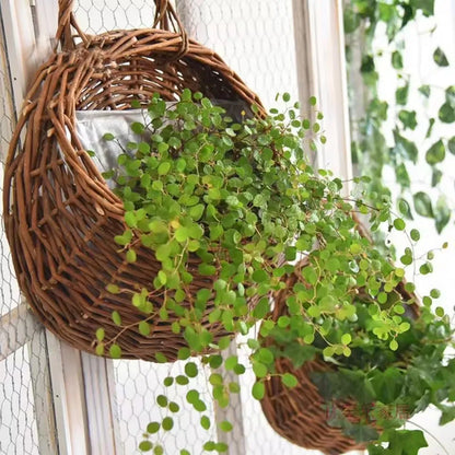 Woven Wall Hanging Planter Basket