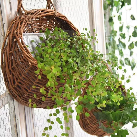 Woven Wall Hanging Planter Basket